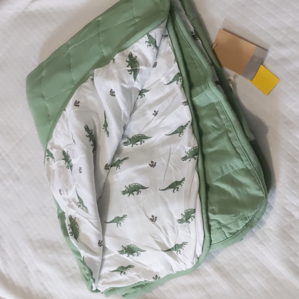 Kyte dino toddler blanket